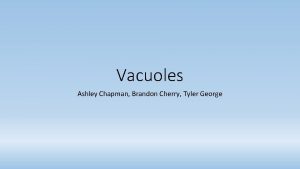 Where are vacuoles located Where are vacuoles located
