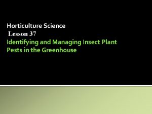 Horticulture Science Lesson 37 Identifying and Managing Insect
