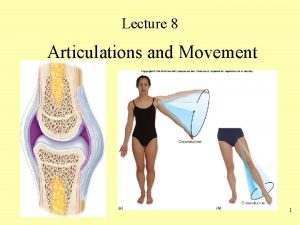 Lecture 8 Articulations and Movement 1 Articulations or