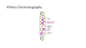 Affinity chromatography principle