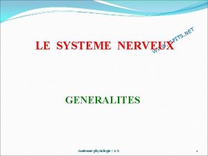 TS I SP I W LE SYSTEME NERVEUX