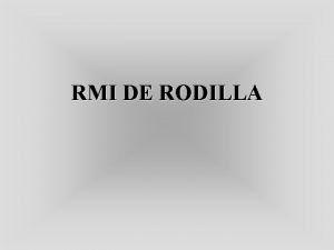 RMI DE RODILLA IMAGENES NORMALES IMAGENES SAGITALES IMAGENES