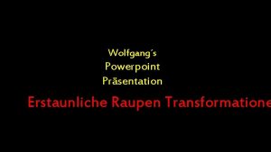 Wolfgangs Powerpoint Prsentation Erstaunliche Raupen Transformatione Als Raupen