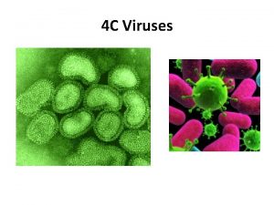 4 C Viruses NONLIVING Contain either DNA or
