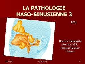 LA PATHOLOGIE NASOSINUSIENNE 3 IFSI Docteur Delalande Service