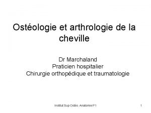 Ostologie et arthrologie de la cheville Dr Marchaland