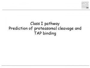 Class I pathway Prediction of proteasomal cleavage and