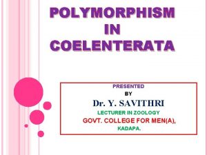 Polymorphism of coelenterata