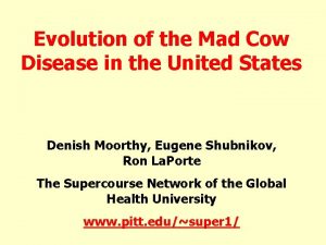 Evolution of the Mad Cow Disease in the