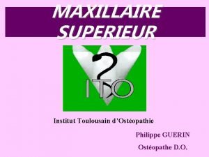 MAXILLAIRE SUPERIEUR Institut Toulousain dOstopathie Philippe GUERIN Ostopathe