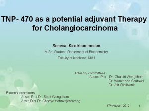 TNP 470 as a potential adjuvant Therapy for