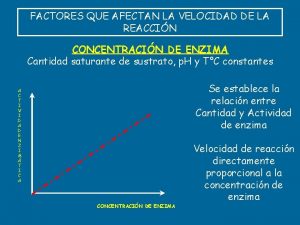 FACTORES QUE AFECTAN LA VELOCIDAD DE LA REACCIN