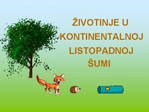 IVOTINJE U KONTINENTALNOJ LISTOPADNOJ UMI PRIZEMNI SLOJ UTOCRNA