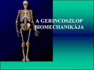 A GERINCOSZLOP BIOMECHANIKJA Gerincoszlop Nyaki 7 Msodlagos grblet