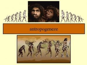 Antropogeneze