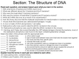 Function of dna