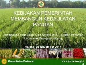 KEBIJAKAN PEMERINTAH MEMBANGUN KEDAULATAN PANGAN Disampaikan pada Acara