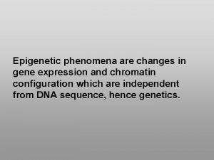 Epigenetic phenomena are changes in gene expression and