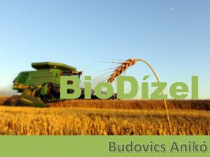 Bio Dzel Budovics Anik Biodzel s bioetanol Biodzel