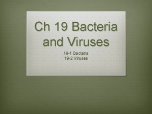 Ch 19 Bacteria and Viruses 19 1 Bacteria