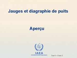 Jauges et diagraphie de puits Aperu IAEA International