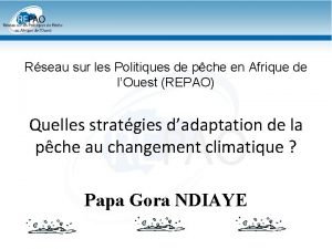 Rseau sur les Politiques de pche en Afrique