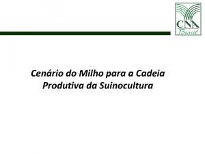 Cenrio do Milho para a Cadeia Produtiva da