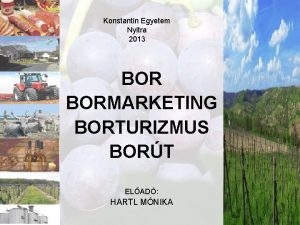 Konstantin Egyetem Nyitra 2013 BORMARKETING BORTURIZMUS BORT ELAD