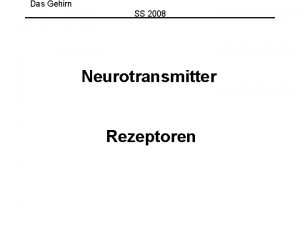 Das Gehirn SS 2008 Neurotransmitter Rezeptoren Neurotransmitter Rezeptoren