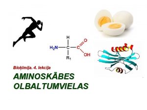 Biomija 4 lekcija AMINOSKBES OLBALTUMVIELAS Bioloisks funkcijas 1