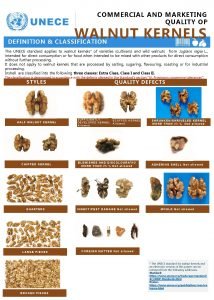 Walnut kernels meaning