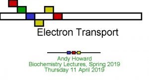 Electron Transport Andy Howard Biochemistry Lectures Spring 2019