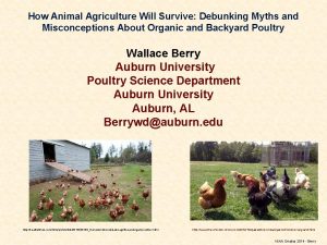 How Animal Agriculture Will Survive Debunking Myths and