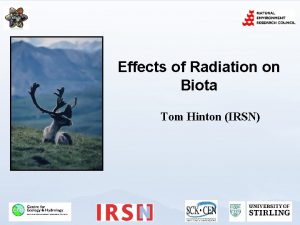 Effects of Radiation on Biota Tom Hinton IRSN