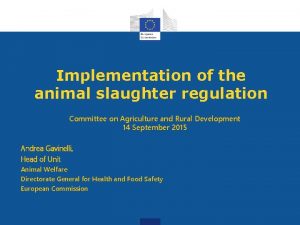 Implementation of the animal slaughter regulation Committee on