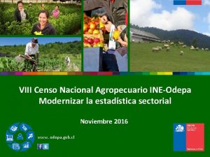 VIII Censo Nacional Agropecuario INEOdepa Modernizar la estadstica