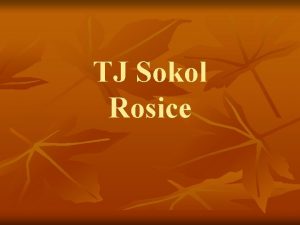 TJ Sokol Rosice Sportovn oddly TJ Sokol rok