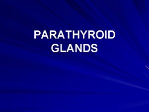 PARATHYROID GLANDS PARATHYROID GLANDS Derived from the developing