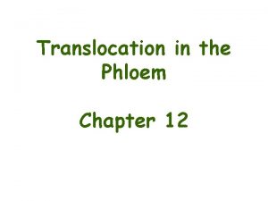 Translocation in the Phloem Chapter 12 Land colonization
