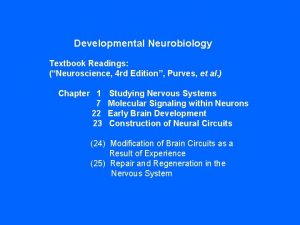 Developmental neuroscience textbook