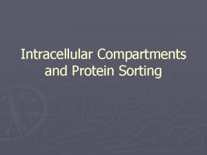Intracellular Compartments and Protein Sorting Intracellular Compartments and