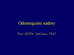 Odontogenn ndory Doc MUDr Jan Laco Ph D