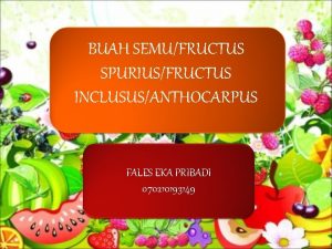 BUAH SEMUFRUCTUS SPURIUSFRUCTUS INCLUSUSANTHOCARPUS FALES EKA PRIBADI 070210193149