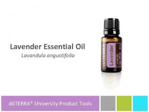 Lavender Essential Oil Lavandula angustifolia dTERRA University dTERRA