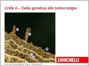Unit 4 Dalla genetica alle biotecnoligie Saraceni Strumia