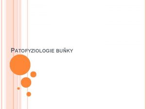 PATOFYZIOLOGIE BUKY Poruchy mnoen Poruchy diferenciace Reakce na