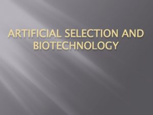 ARTIFICIAL SELECTION AND BIOTECHNOLOGY Selective breeding used to