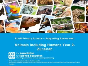 PLAN Primary Science Supporting Assessment Animals including Humans