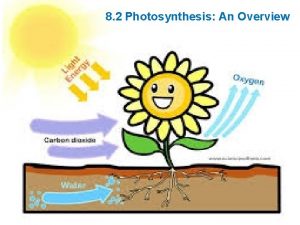Chapter 9 lesson 2 photosynthesis an overview