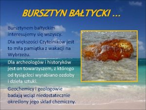 BURSZTYN BATYCKI Bursztynem batyckim interesujemy si wszyscy Dla